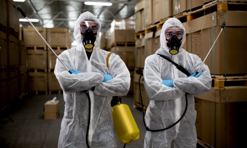 Pest Control Services