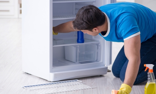 Fridge Deep Cleaning